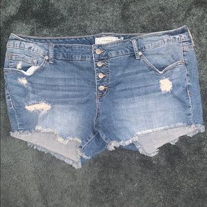 TORRID Distressed Jean Shorts